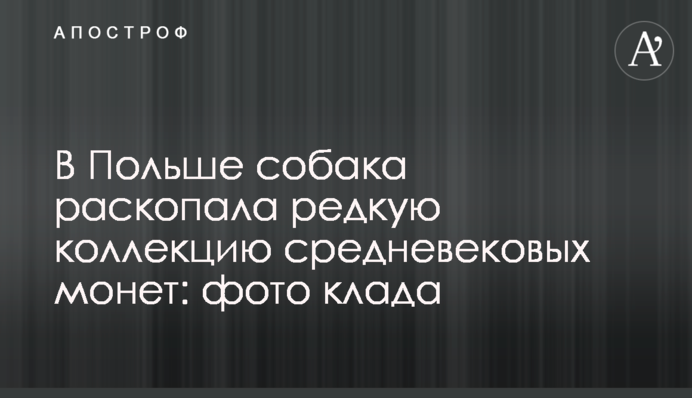 У Польщі собака розкопав рідкісну колекцію середньовічних монет: фото скарбу