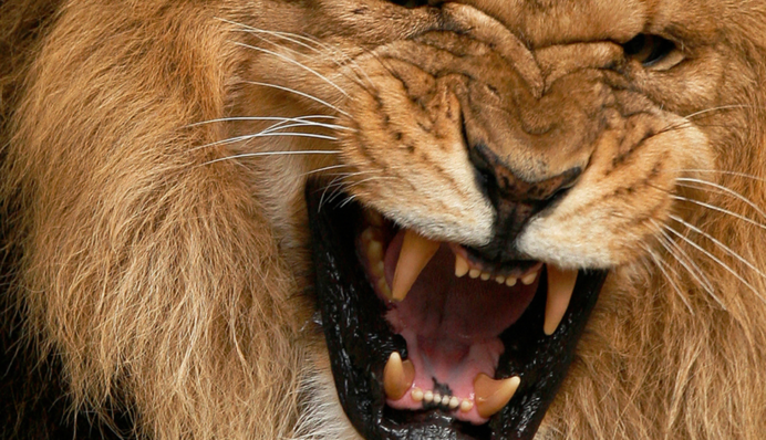 Способны на страшные поступки: пять знаков Зодиака в гневе превращаются в 