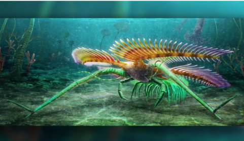 Ученые обнаружили останки древнего морского монстра, у которого не было глаз: фото