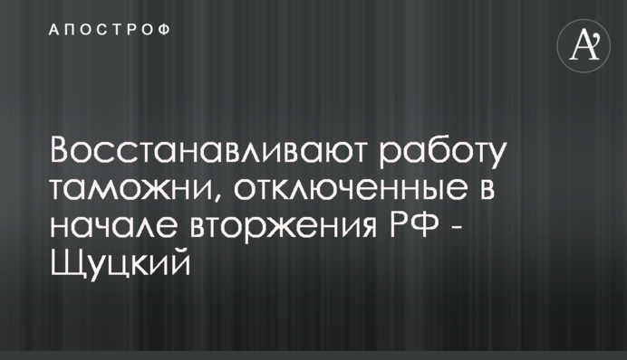 Восстанавливают работу таможни, отключенные в начале вторжения РФ - Щуцкий