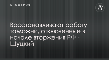 Восстанавливают работу таможни, отключенные в начале вторжения РФ - Щуцкий