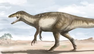 10-метровий гігант вагою 5 тонн: вчені з'ясували, яким був найбільший у світі мегараптор