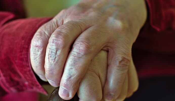 Зеленський підписав пенсійний закон: названо чотири головні новації