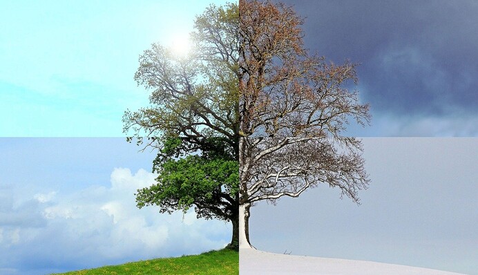 Спека з дощами та сніг з морозами: прогноз народного синоптика на літо та осінь в Україні