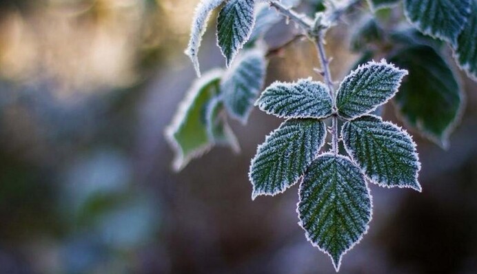 В Україні похолодає до заморозків: прогноз погоди на найближчий час