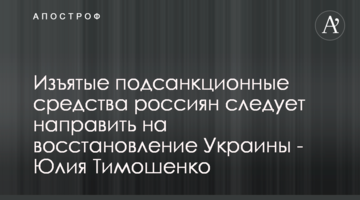 Вилучені підсанкційні кошти росіян треба спрямувати на відновлення України - Юлія Тимошенко