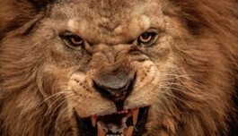 Успокоиться для них - проблема: названы четыре самых 