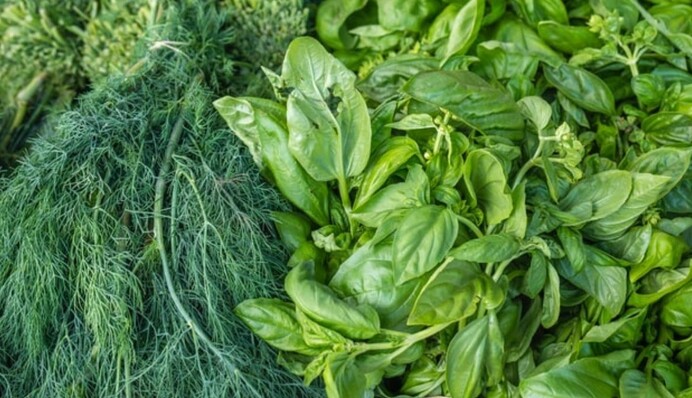 Як отримати максимум користі від зелені: дієтолог розсекретила прості правила