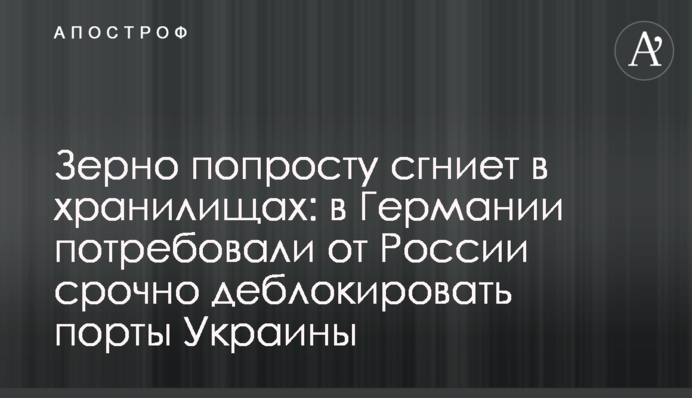 Зерно попросту сгниет в хранилищах: в Германии потребовали от России срочно деблокировать порты Украины
