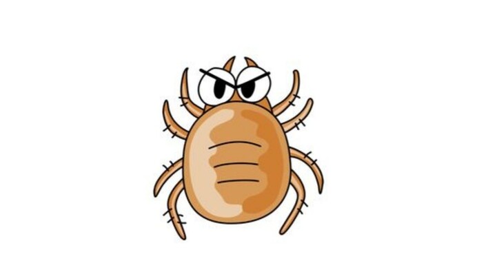 Инфекционист рассказал, как распознать болезнь Лайма после укуса клеща