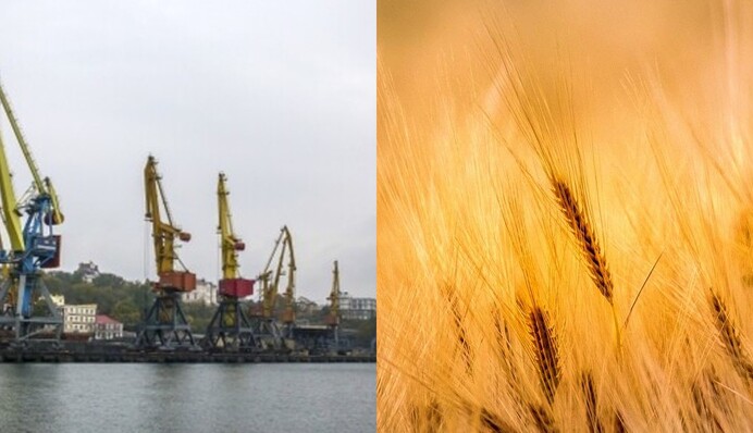 Угроза мирового голода: кто пострадает первым из-за блокады зерна из Украины