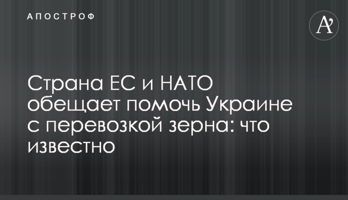 Країна ЄС та НАТО обіцяє допомогти Україні з перевезенням зерна: що відомо