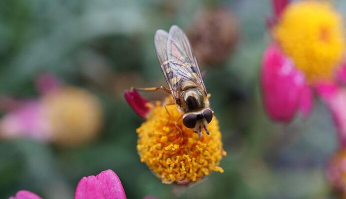 Літня спека та поривчастий вітер: синоптик уточнила прогноз погоди на останній день весни