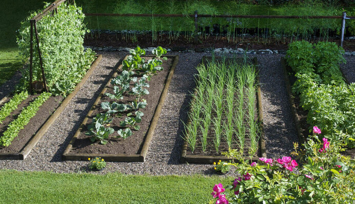 Календарь садовода и огородника на июнь 2022: что нужно сажать и в какие дни