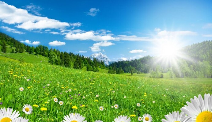 Лето вступит в свои права уже с первых дней июня: прогноз погоды на месяц