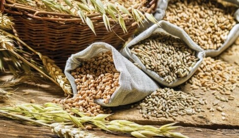 Россия шантажирует мир голодом: как возникла паника на рынке продовольствия