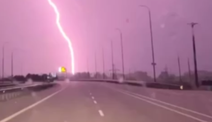 Хлібозари на Житомирській трасі: киян вразило рідкісне природне явище, відео