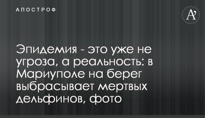 Эпидемия - это уже не угроза, а реальность: в Мариуполе на берег выбрасывает мертвых дельфинов, фото