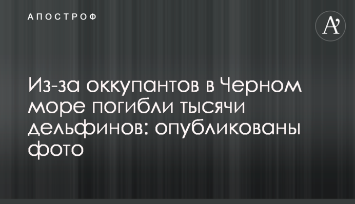 Через окупантів у Чорному морі загинули тисячі дельфінів: опубліковано фото