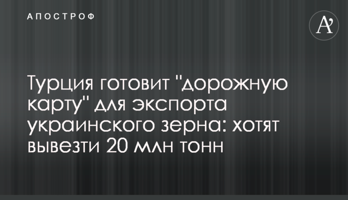 Турция готовит "дорожную карту" для экспорта украинского зерна: хотят вывезти 20 млн тонн