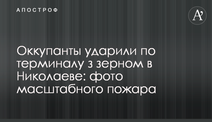Окупанти вдарили по терміналу із зерном у Миколаєві: фото масштабної пожежі