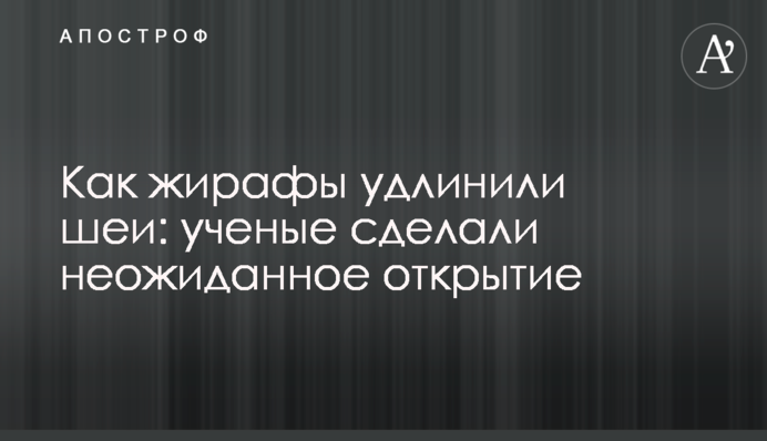 Как жирафы удлинили шеи: ученые сделали неожиданное открытие