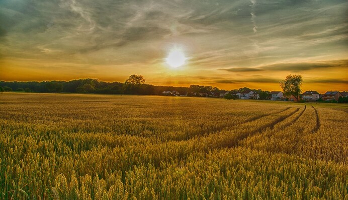 ​В Украину идет антициклон Burkhart: какой будет погода во вторник