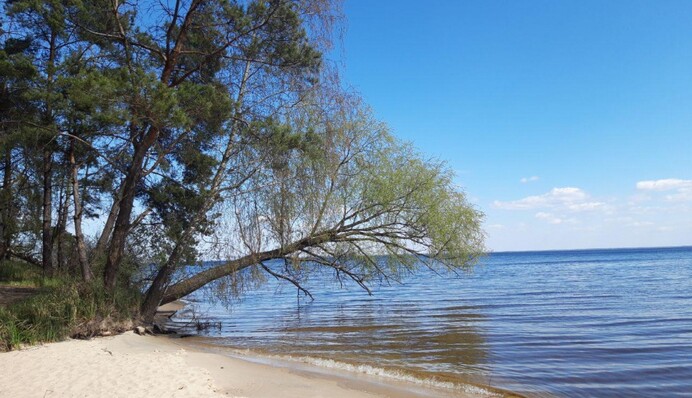 Безпечний відпочинок на воді: у поліції нагадали 10 головних правил