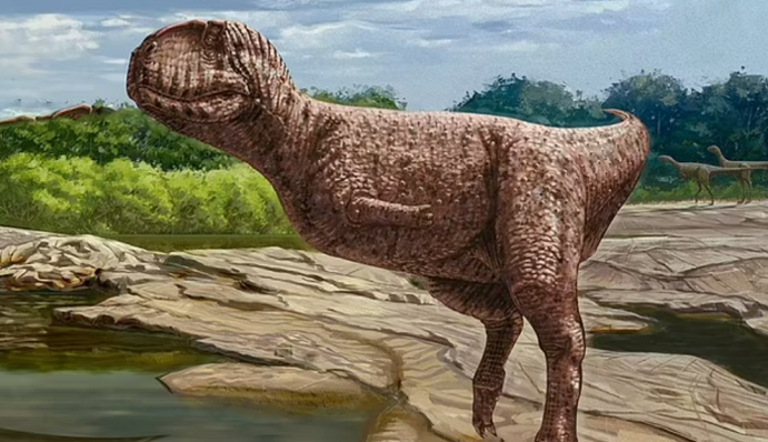 Морда бульдога та короткі 