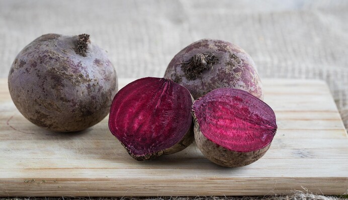 Как вырастить свеклу на огороде: пять секретов большого урожая