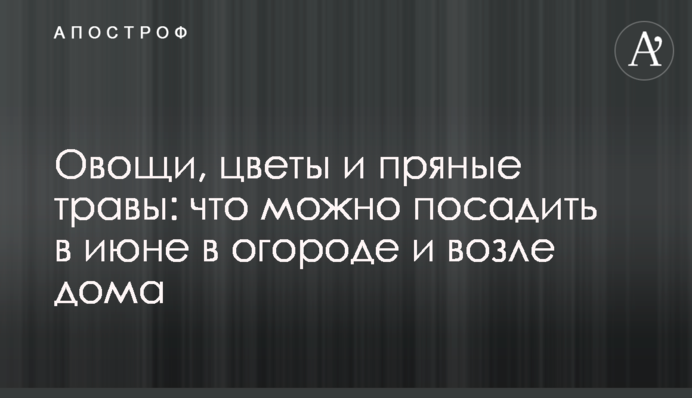 Овощи, цветы и пряные травы: что можно посадить в июне в огороде и возле дома