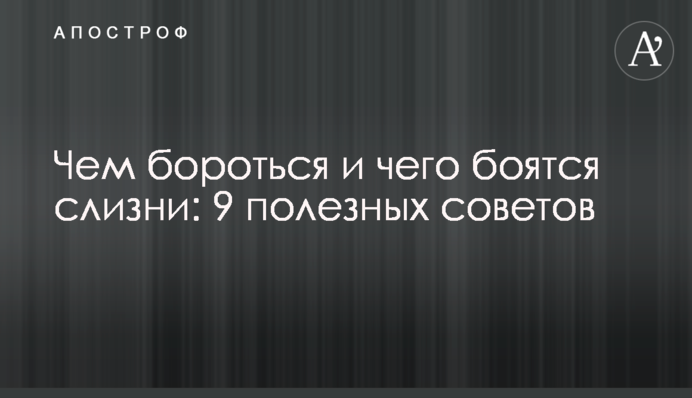 Чем бороться и чего боятся слизни: 9 полезных советов