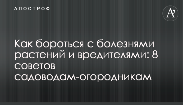 Як боротися з хворобами рослин та шкідниками: 8 порад садівникам-городникам