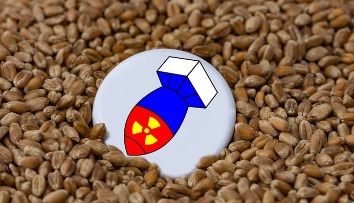 ​Украина готова экспортировать 30 млн тонн зерна: нашла два маршрута