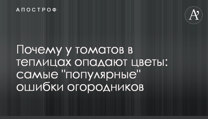 Почему у томатов в теплицах опадают цветы: самые 