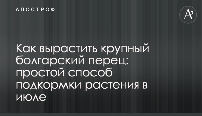 Як виростити великий болгарський перець: простий спосіб підживлення рослини у липні