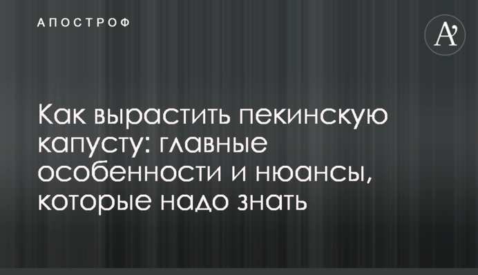 Как вырастить пекинскую капусту: главные особенности и нюансы, которые надо знать