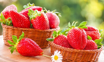 Уход за клубникой летом - как правильно поливать и удобрять