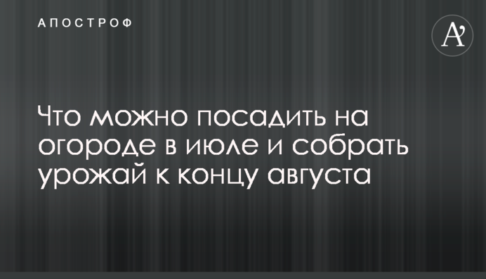 Що можна посадити на городі у липні та зібрати врожай до кінця серпня