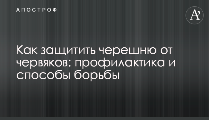 Як захистити черешню від черв'яків: профілактика та способи боротьби