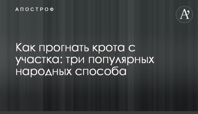 Як прогнати крота з ділянки: три популярні народні способи