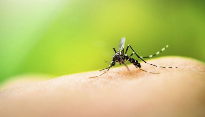 Ребенка покусали комары: врач рассказала, как уменьшить реакцию и зуд