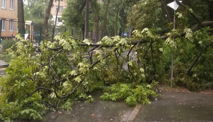 Пожар в музее и деревья на дорогах: непогода наделала немало беды в Киеве и области, фото и видео