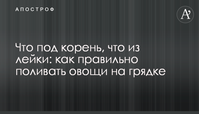Что под корень, что из лейки: как правильно поливать овощи на грядке