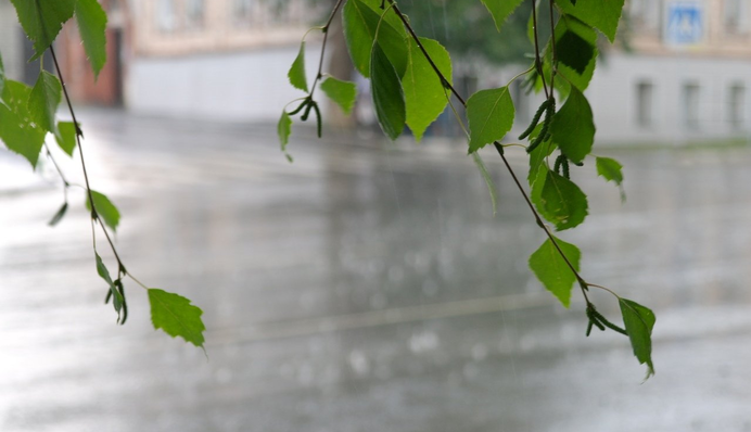 В Украину пришел 