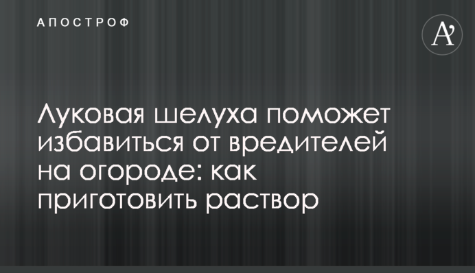 Луковая шелуха поможет избавиться от вредителей на огороде: как приготовить раствор