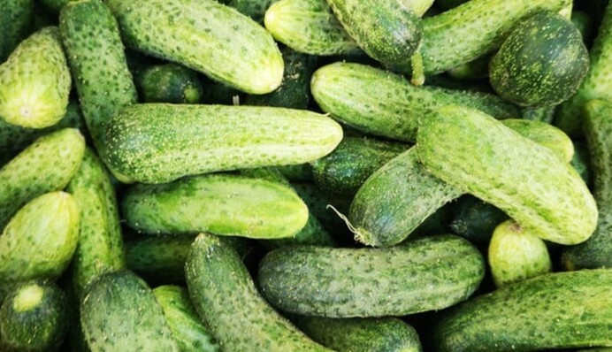 Чим корисні свіжі огірки та як отримати з них максимум вітамінів