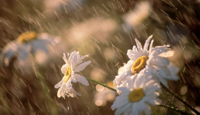 В Україну йде пекельна спека: де і коли стовпчики термометрів перевалять за +30