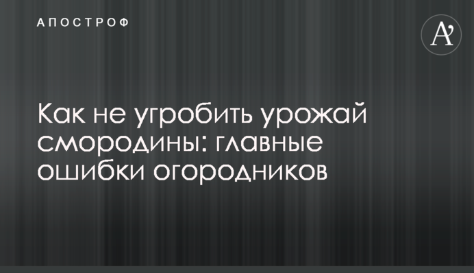 Як не зіпсувати врожай смородини: головні помилки садоводів