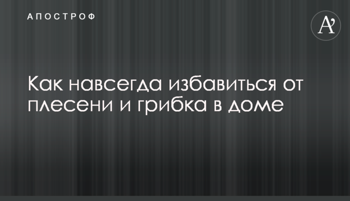 Как навсегда избавиться от плесени и грибка в доме